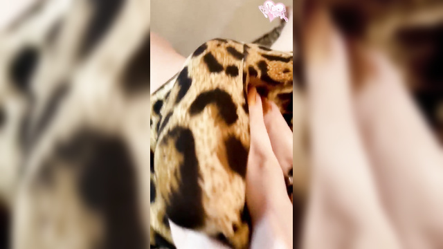 Margot Robbie is rock hard and tugging it in a sexy leopard print dress